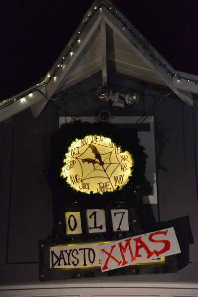 DSC_5793 (Large).JPG